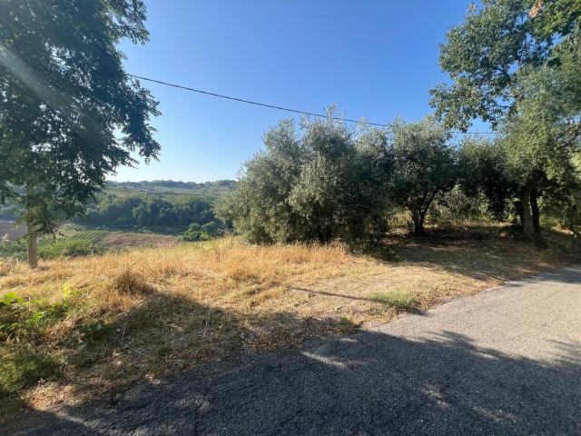 Terreno in vendita a Longiano, Forlì-Cesena