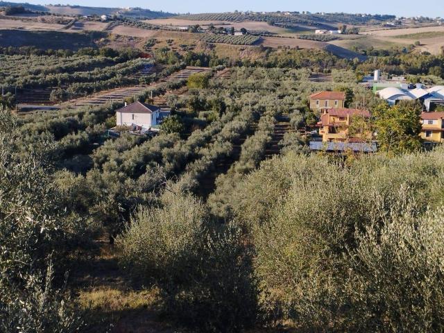 Terreno in vendita a Villa Badessa, Rosciano