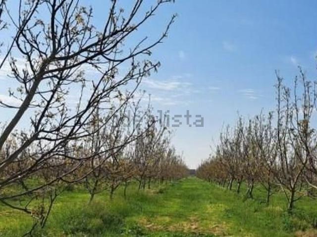 Terreno in vendita a Cambio, Villadose