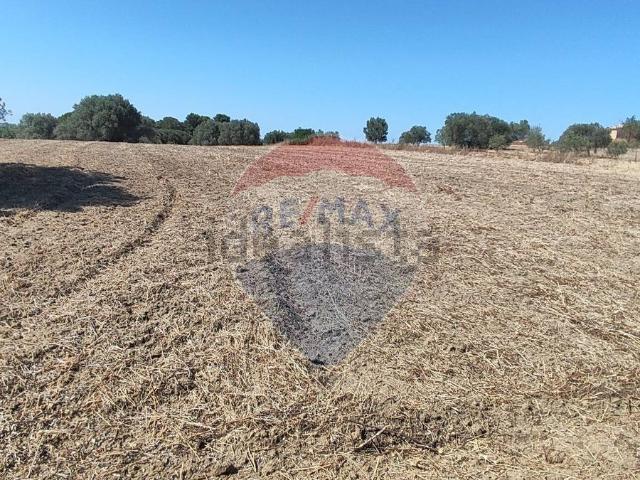 Terreno in vendita a Caltagirone, Sicilia