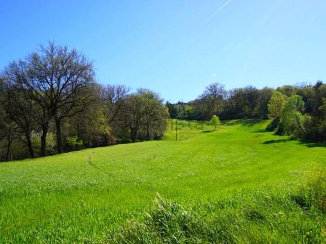 Terreno in vendita a Marche, Macerata