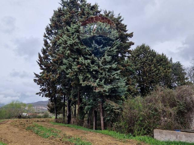 Terreno in vendita a Cerchio, Abruzzo