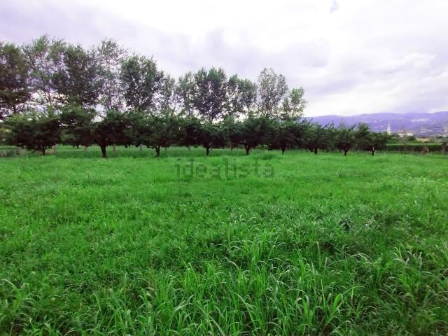 Terreno in vendita a Mason Vicentino, Veneto