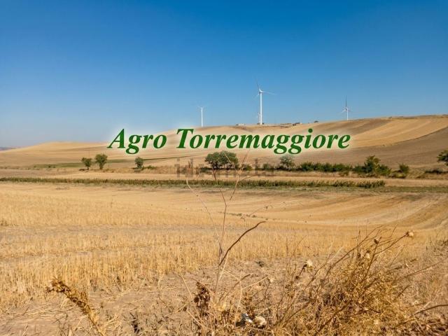 Terreno in vendita a Torremaggiore, Foggia