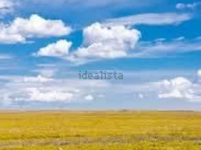 Terreno in vendita a Collesalvetti, Toscana