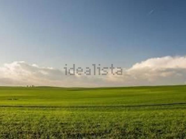 Terreno in vendita a Collesalvetti, Toscana