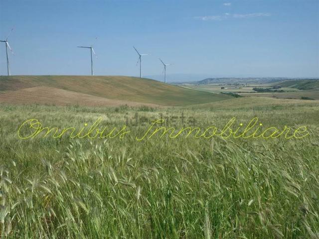 Terreno in vendita a Puglia, Foggia