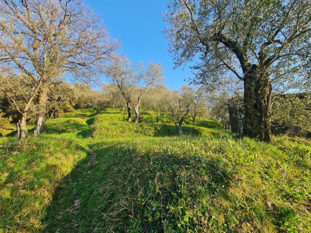 Terreno in vendita a Arcola, Liguria