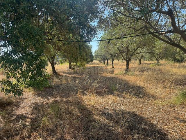 Terreno in vendita a Pula, Sardigna/Sardegna