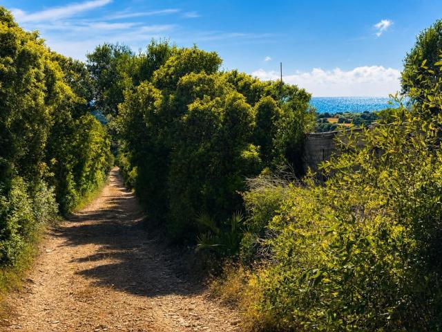 Terreno in vendita a Calasetta, Sardigna/Sardegna