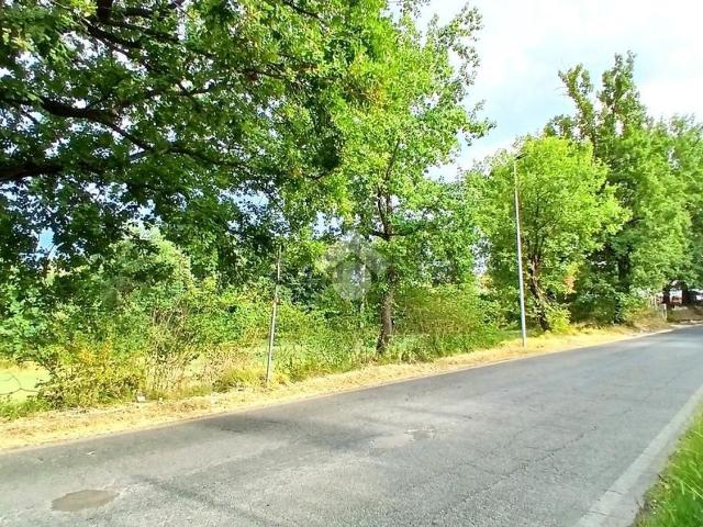 Terreno in vendita a Paliano, Lazio