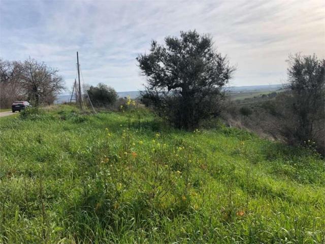 Terreno in vendita a San Martino In Pensilis, Molise