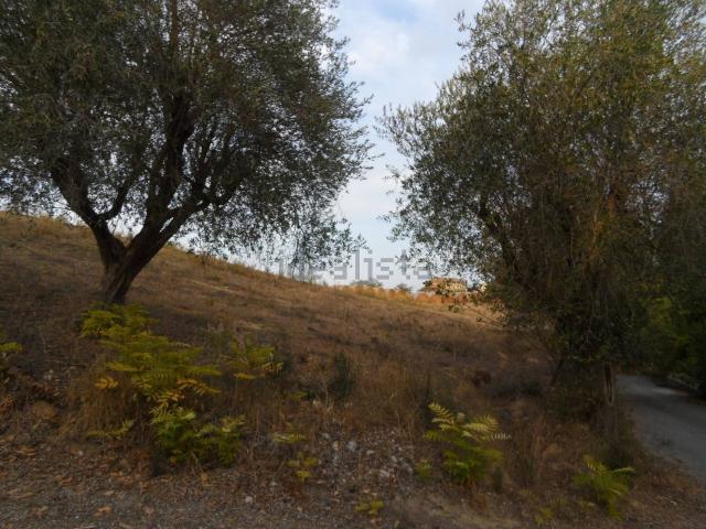 Terreno in vendita a Marche, Ascoli Piceno
