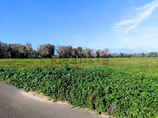 Terreno in vendita a Puglia, Brindisi