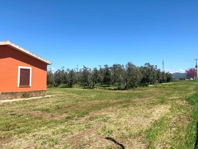 Terreno in vendita a Canino, Lazio