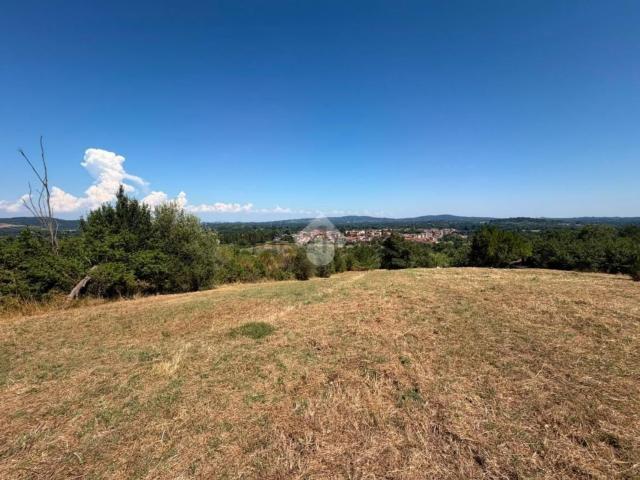 Terreno in vendita a Vejano, Lazio