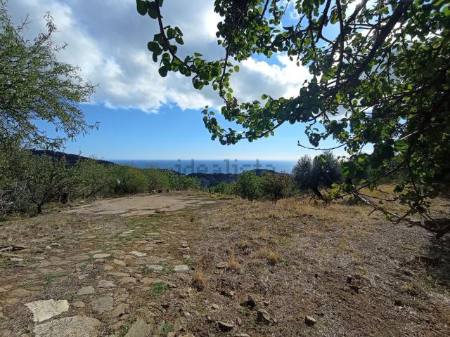 Terreno in vendita a Calabria, Cosenza