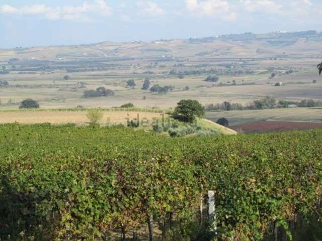 Terreno in vendita a Guglionesi, Molise