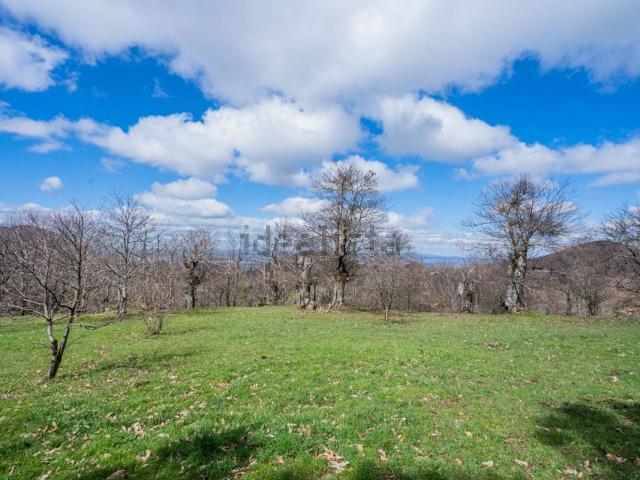 Terreno in vendita a Viterbo, Lazio