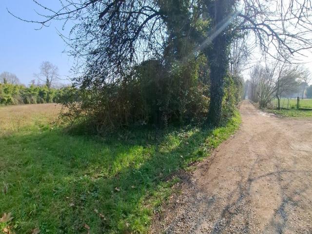 Terreno in vendita a Fontanelle, Treviso