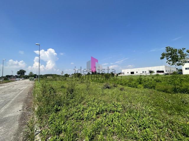 Terreno in vendita a Vedelago, Veneto