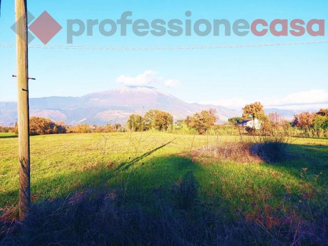 Terreno in vendita a Aquino, Lazio