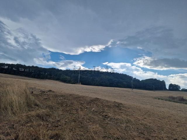 Terreno in vendita a Abbadia Di Montepulciano, Toscana