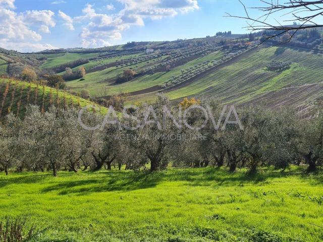 Terreno in vendita a Santa Maria Assunta, Mosciano Sant'Angelo