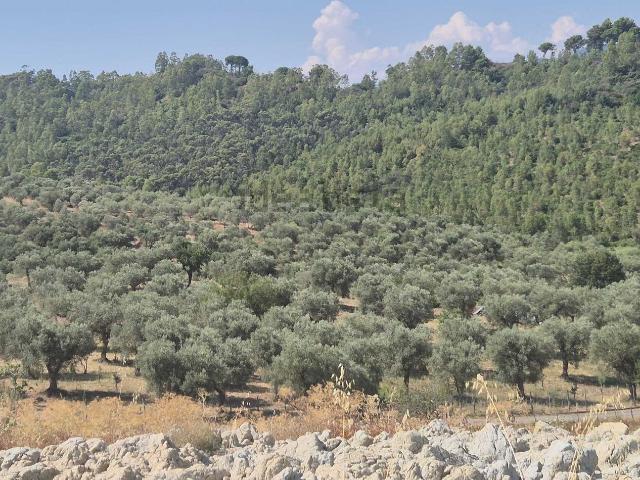 Terreno in vendita a Corigliano-Rossano, Calabria