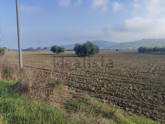 Terreno in vendita a Roseto Degli Abruzzi, Abruzzo