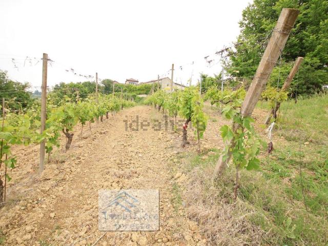 Terreno in vendita a Piemonte, Alessandria