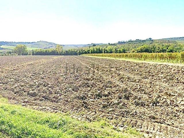 Terreno in vendita a Ficulle, Umbria