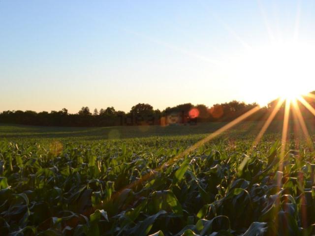 Terreno in vendita a Fontevivo, Reggio Emilia