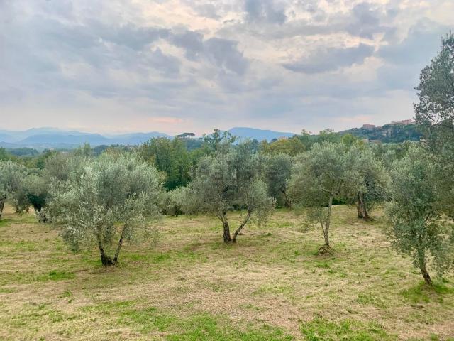 Terreno in vendita a Monte San Giovanni Campano, Lazio