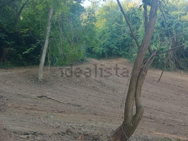 Terreno in vendita a Unione di comuni Terre di Castelli, Castelvetro Di Modena