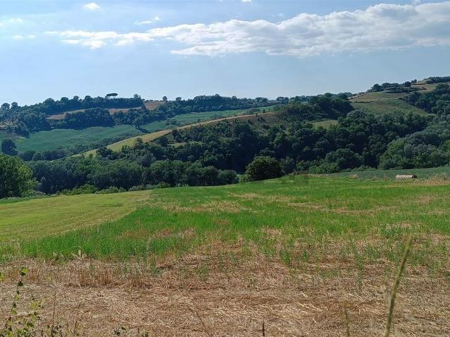 Terreno in vendita a Collevecchio, Lazio