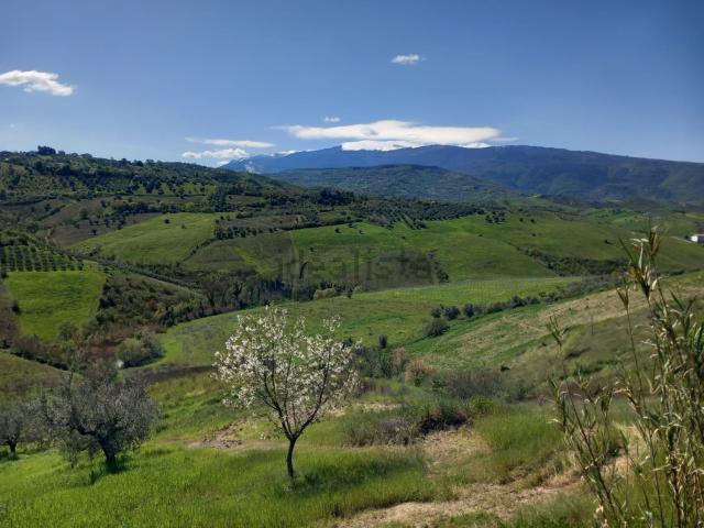 Terreno in vendita a Casalincontrada, Abruzzo
