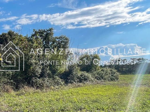 Terreno in vendita a Lido di Classe, Ravenna