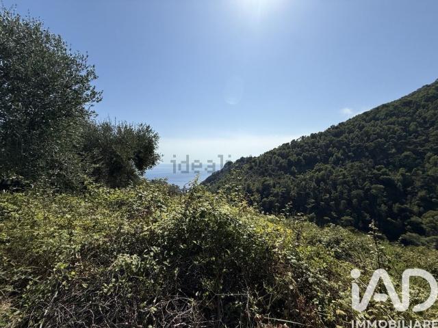 Terreno in vendita a Ventimiglia, Liguria