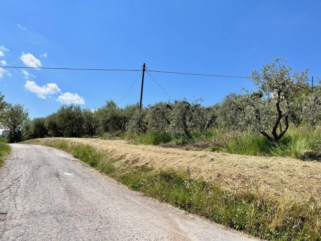 Terreno in vendita a Marche, Fermo