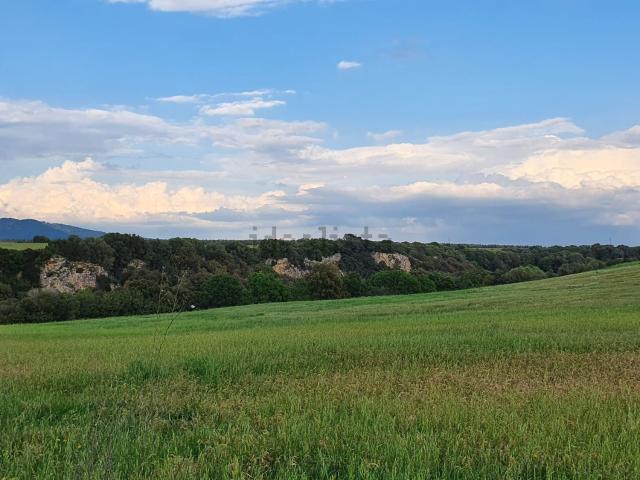 Terreno in vendita a Montalto Di Castro, Lazio