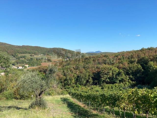 Terreno in vendita a Villaga, Veneto