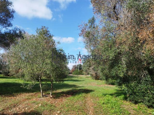 Terreno in vendita a Puglia, Brindisi