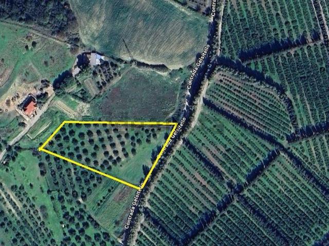 Terreno in vendita a Calabria, Catanzaro