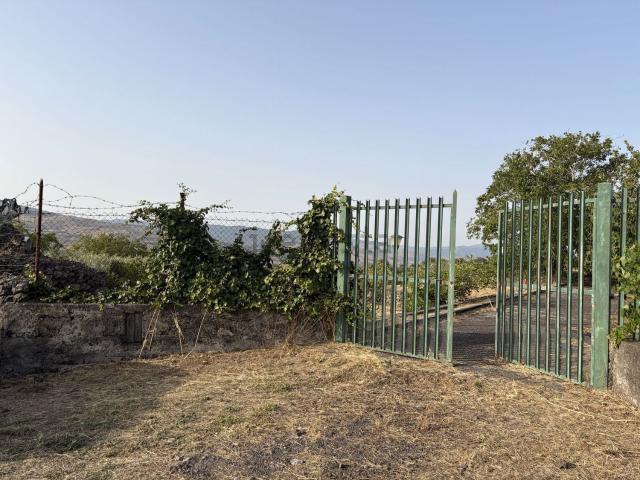 Terreno in vendita a Quartiere Santa Maria, Randazzo