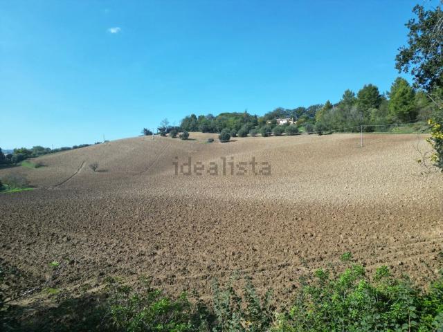 Terreno in vendita a Carignano, Marche