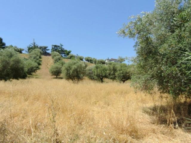 Terreno in vendita a Montesilvano, Abruzzo