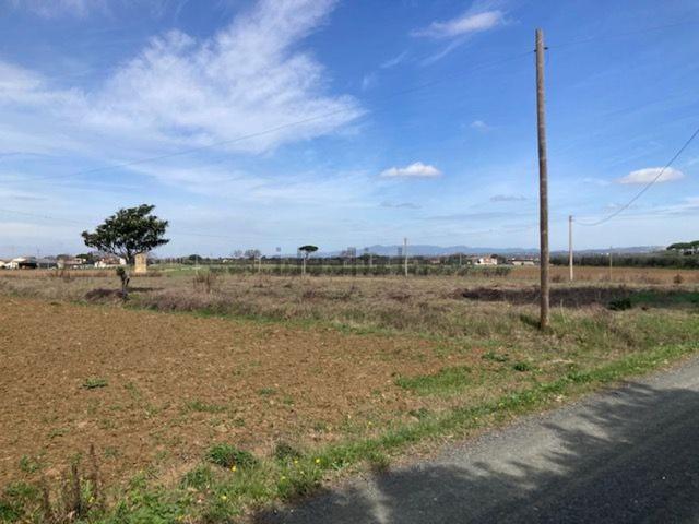 Terreno in vendita a Bibbona, Toscana