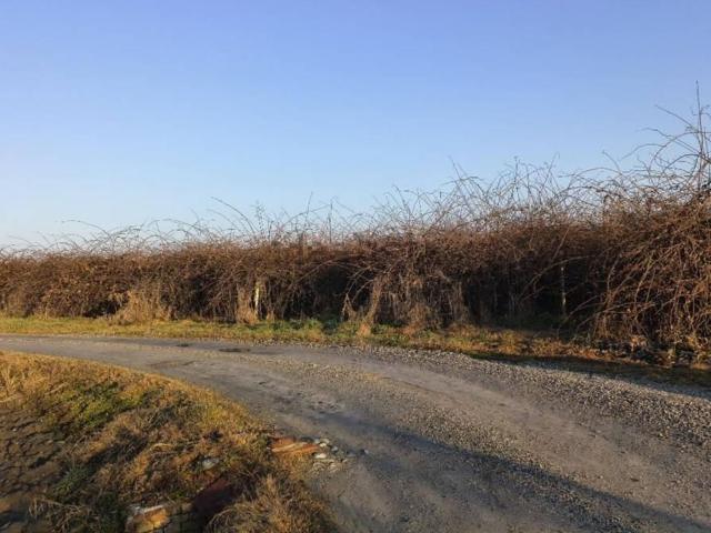 Terreno in vendita a Lagnasco, Cuneo