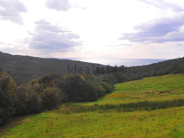 Terreno in vendita a Rosignano Marittimo, Toscana